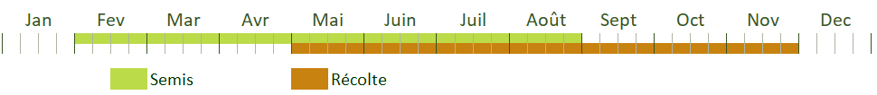 Calendrier de culture